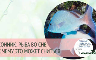 К чему снится большая живая рыба женщине сонник