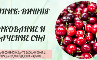 Видеть во сне вишню сонник