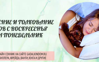 Сны с воскресенья на понедельник сонник
