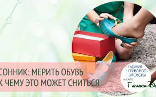 К чему снится мерить обувь во сне сонник