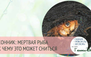 К чему снится умирающая рыба сонник