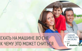 Ехать на машине во сне за рулем сонник