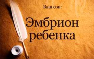 Сонник эмбрион ребенка