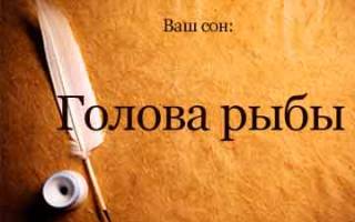 К чему снится голова рыбы сонник