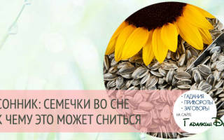 К чему снится тыквенные семечки женщине сонник