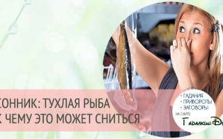 К чему снится тухлая рыба мужчине сонник