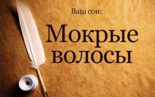 Мокрая голова во сне сонник